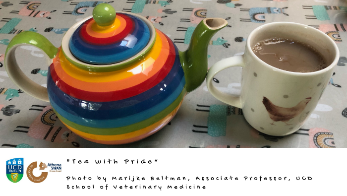 Pride rainbow teapot